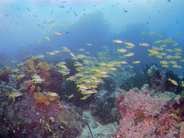 Nomad Divers Bangka Likupang 외부 사진