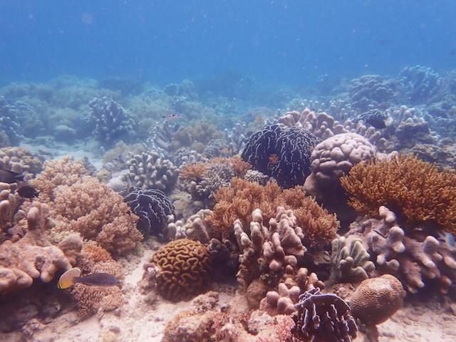 Nomad Divers Bangka Likupang 외부 사진